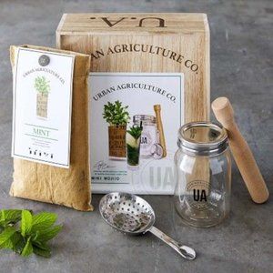 BNIB - Mint Mojito Craft Cocktail Grow Kit with 4 New Mini Mugs